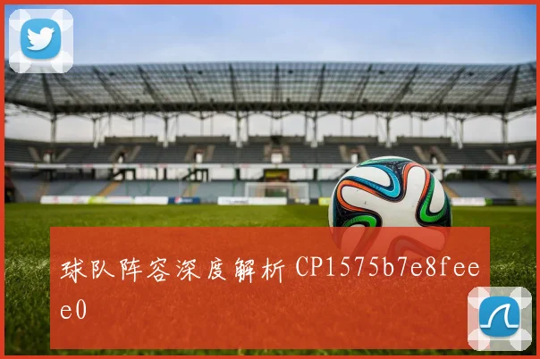 球队阵容深度解析 CP1575b7e8feee0